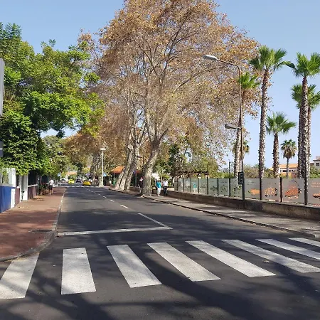 Apartman Reids Gardens Luxury Flat In Madeira Island *