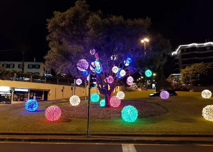 Reids Gardens Luxury Flat In Madeira Island *